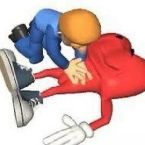 Meet your Posher, Bella